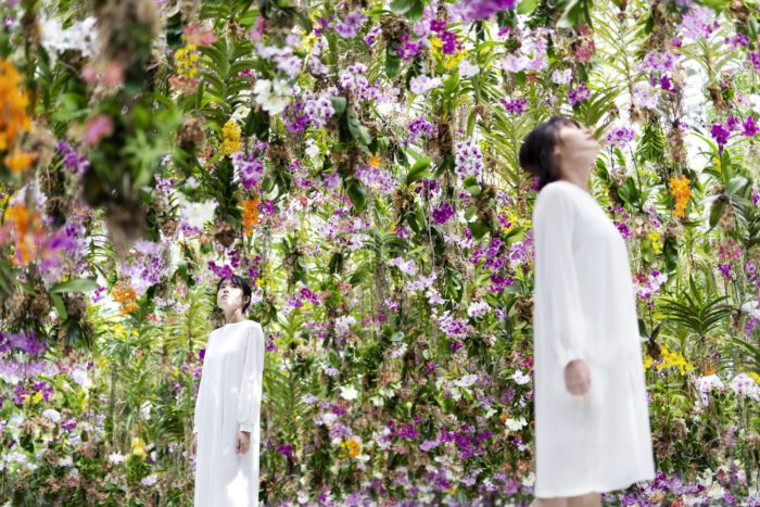 「チームラボプラネッツ TOKYO DMM」、2つの庭園作品が誕生