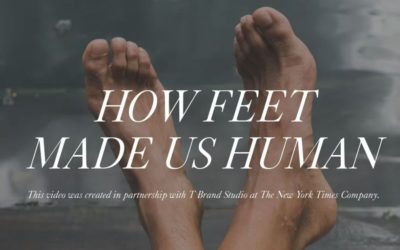 「足の健康」の大切さをアピール　「BIRKENSTOCK（ビルケンシュトック）」、初のグローバルキャンペーンを展開　「ニューヨークタイムズ」と提携