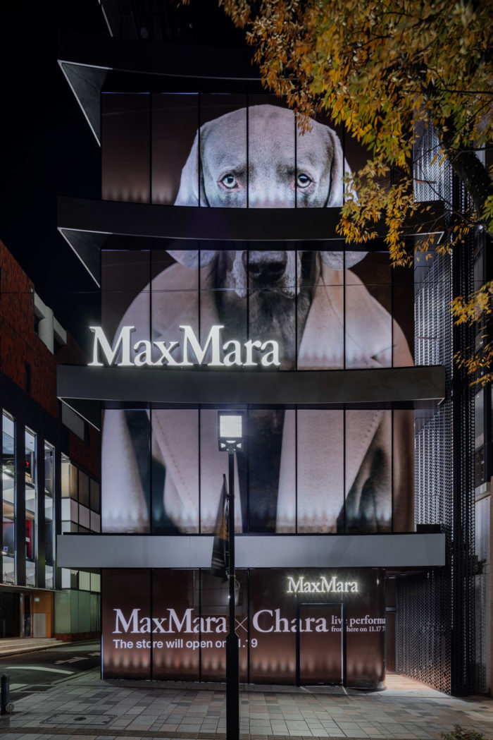 Charaが店内のライブ　「Max Mara（マックスマーラ）」、表参道の新旗艦店オープンを記念したイベント開催