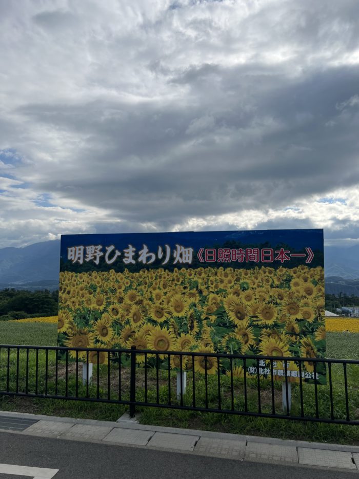 山梨県・北杜・明野ひまわり畑 旅行