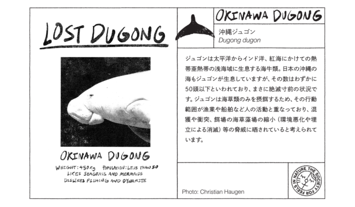 dugong_profile 