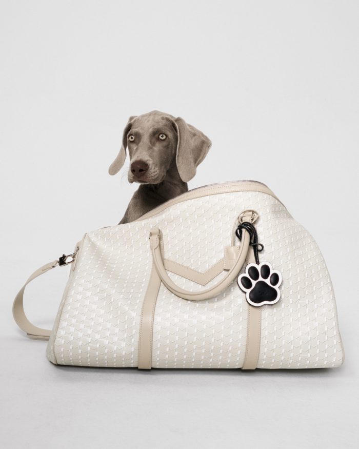 「モワナ(MOYNAT)」、シグネチャーMキャンバスのペットアクセサリーコレクションを発表　伊勢丹新宿店でポップアップ開催