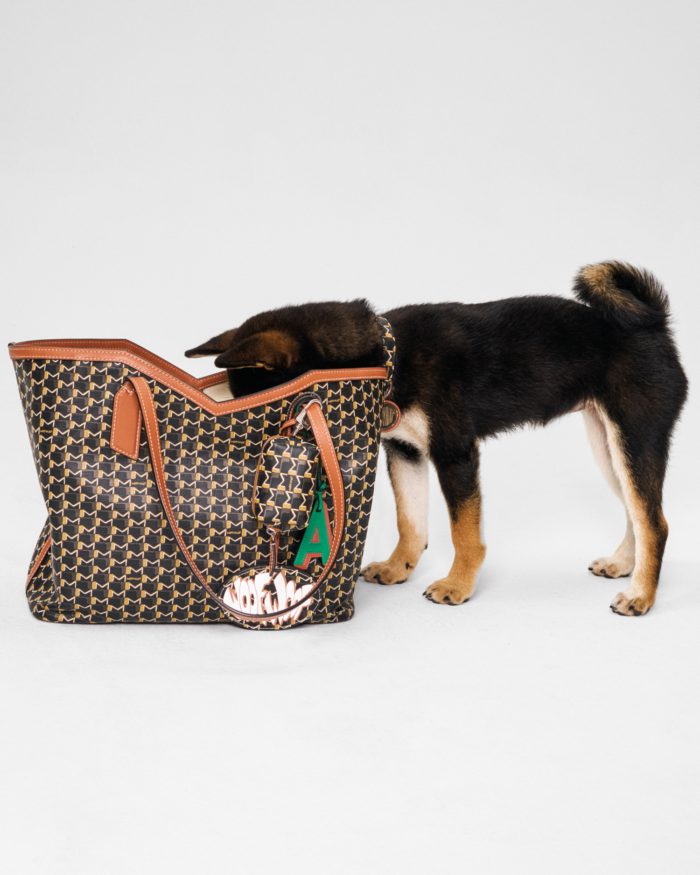 「モワナ(MOYNAT)」、シグネチャーMキャンバスのペットアクセサリーコレクションを発表　伊勢丹新宿店でポップアップ開催