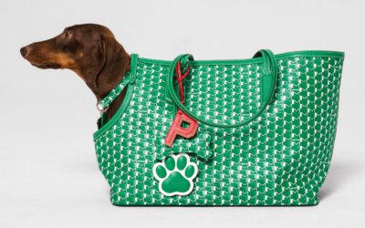 「MOYNAT（モワナ）」、シグネチャーMキャンバスのペットアクセサリーコレクションを発表　伊勢丹新宿店でポップアップ開催