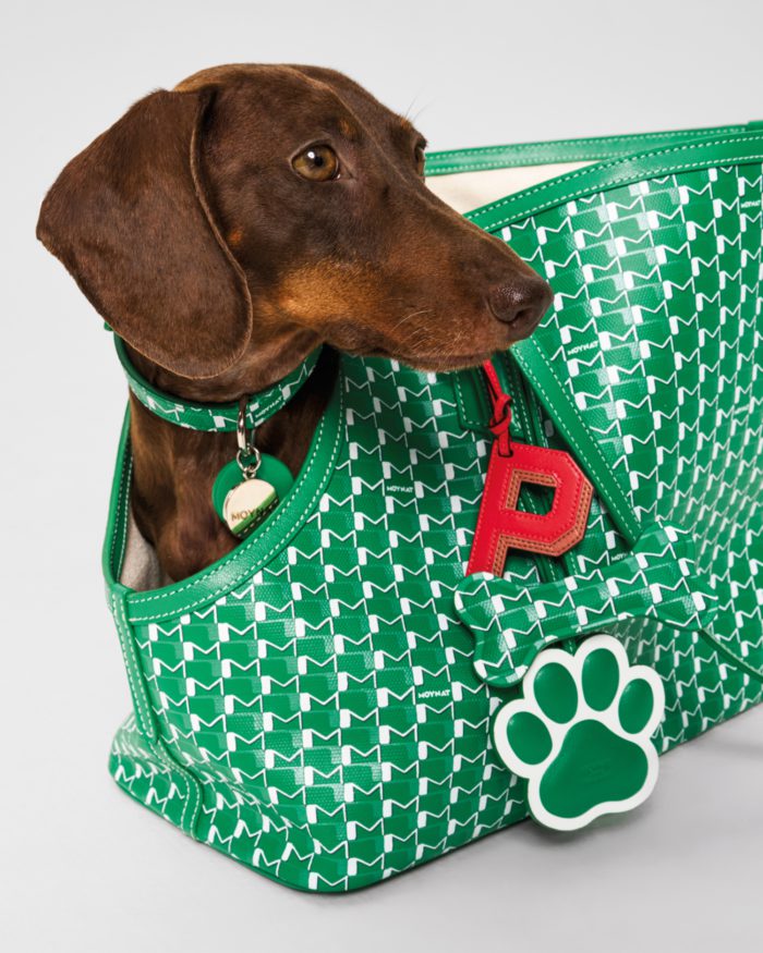「モワナ(MOYNAT)」、シグネチャーMキャンバスのペットアクセサリーコレクションを発表　伊勢丹新宿店でポップアップ開催