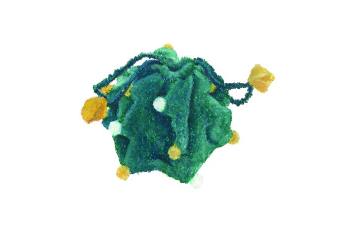 「pillings(ピリングス)」のクリスマスコレクション発売