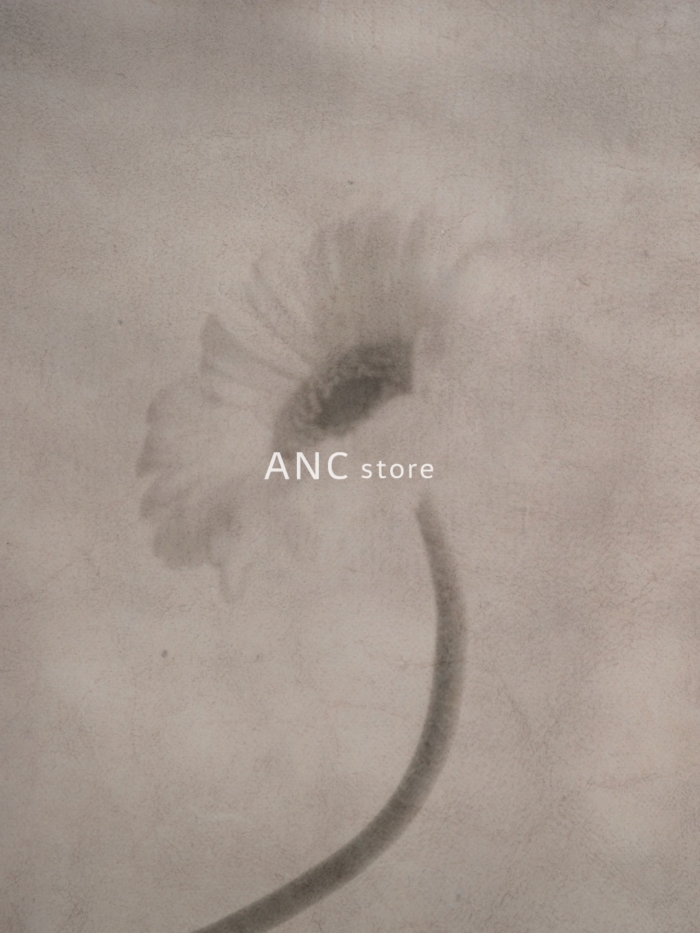 「ANCELLM(アンセルム)」、フラッグシップストア「ANC store TOKYO」を東京・神宮前にオープン